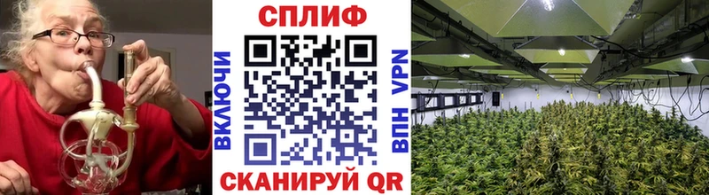 Бошки марихуана White Widow  гидра как войти  Билибино  даркнет сайт 